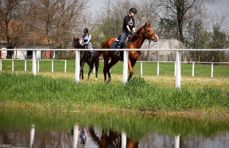 Ifjú huszár program – „több mint szakkör”